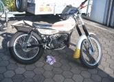 TY_175_001.jpg