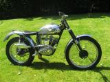 Cub_May_09001.jpg