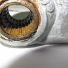 Nasty swingarm bearings