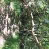 IMG 0559