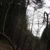 IMG 3875