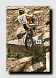 TC1_7751.JPG