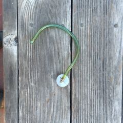Ossa Explorer Fuel Cap
