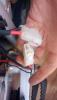 post-3979-0-72640700-1426074312_thumb.jpg