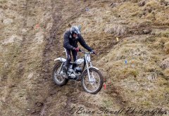 IMG_0696.jpg