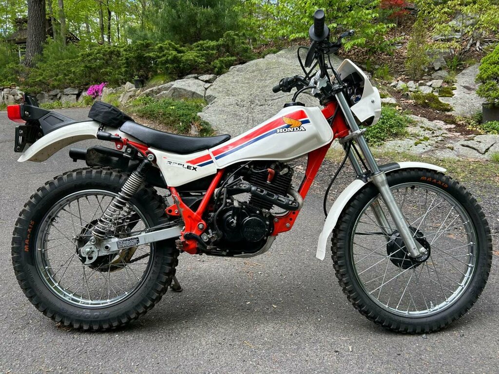 tlr200.jpg