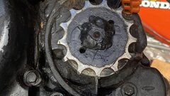 IMG_9139.jpeg