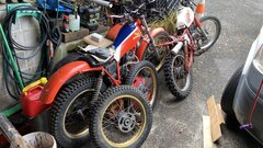 IMG_9201.jpeg
