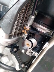 IMG_20250809_133435_620.jpg