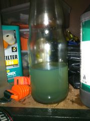 ossa settled coolant photo