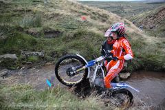 Weadale & DMC Trial 053