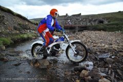 Weadale & DMC Trial 119