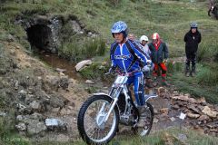 Weadale & DMC Trial 023