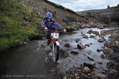 Weadale & DMC Trial 115