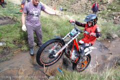 Weadale & DMC Trial 072