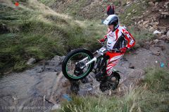 Weadale & DMC Trial 080