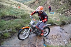 Weadale & DMC Trial 100