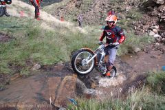 Weadale & DMC Trial 070