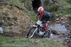 Weadale & DMC Trial 037