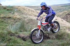 Weadale & DMC Trial 098