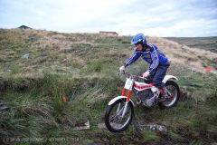 Weadale & DMC Trial 061