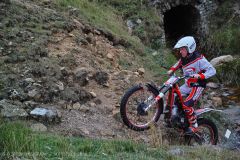 Weadale & DMC Trial 004