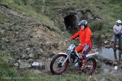 Weadale & DMC Trial 029