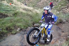 Weadale & DMC Trial 091