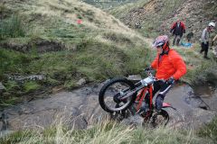 Weadale & DMC Trial 056