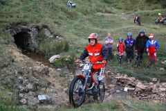 Weadale & DMC Trial 020