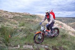 Weadale & DMC Trial 066