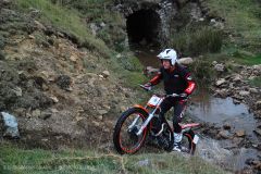 Weadale & DMC Trial 034