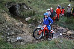 Weadale & DMC Trial 025