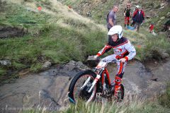 Weadale & DMC Trial 060