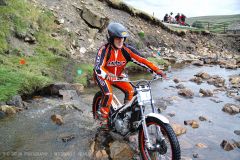 Weadale & DMC Trial 133