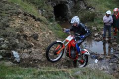 Weadale & DMC Trial 031