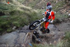 Weadale & DMC Trial 081