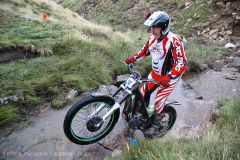 Weadale & DMC Trial 101