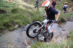 Weadale & DMC Trial 076