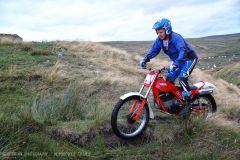 Weadale & DMC Trial 058