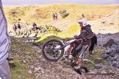 Weardale & DMC Trial SDI1864