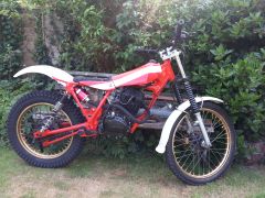 bashan chinese twin shock 