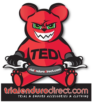 ted logo