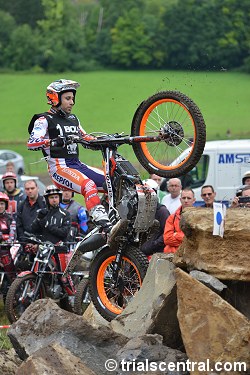 toni bou belgium 2014