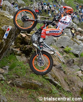 toni bou italy