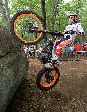 toni bou review 2015