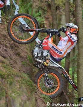 toni bou sweden preview