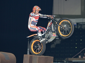 sheffield preview 19th nov in story