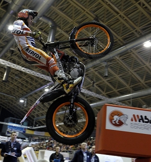 toni bou vienna story