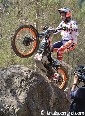 toni bou germany preview story